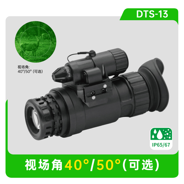 DTS-13